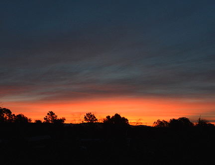 DSC_1824-851172