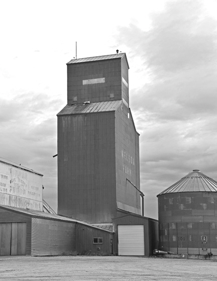 DSC_7526-8511360-BW3
