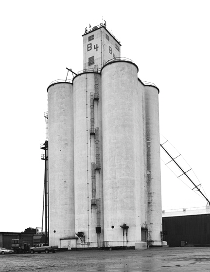 DSC_7906-8511360-v3-BW1