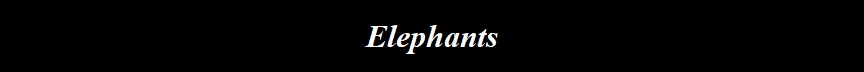 Elephants