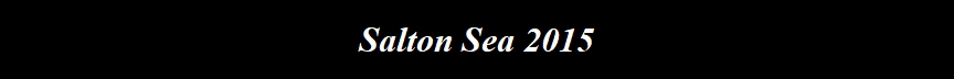 Salton Sea 2015