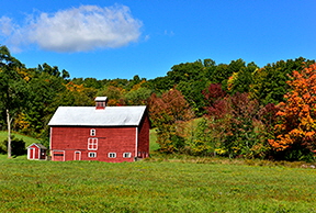 _DSC1545-1218361