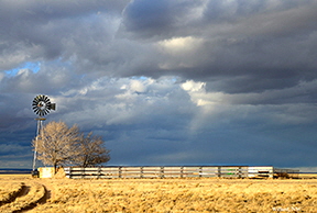 _DSC2135-1114360-willard-nm