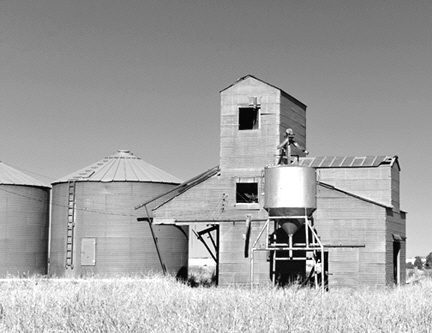 _DSC9773-8511360-BW-v2