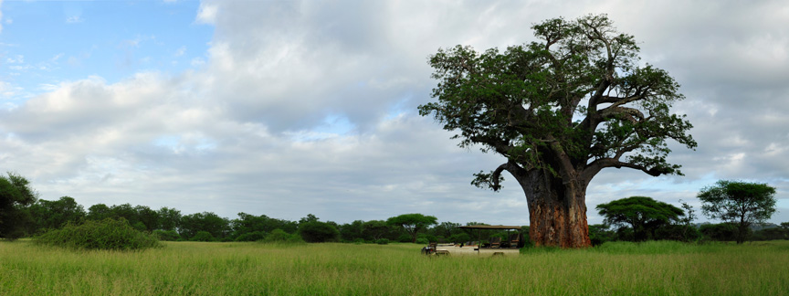 baobab-tree-with-vehicle-panorama-9406-9411-13
